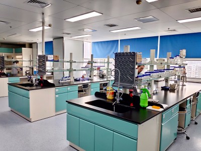 Kaip išvengti kiaulių virškinimo trakto edemos ligos?